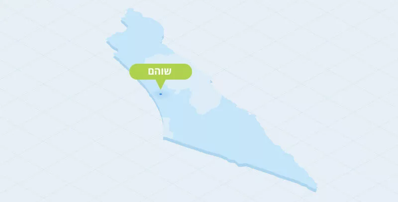 ניקוי שטיחים בשוהם - מאסטר קלין